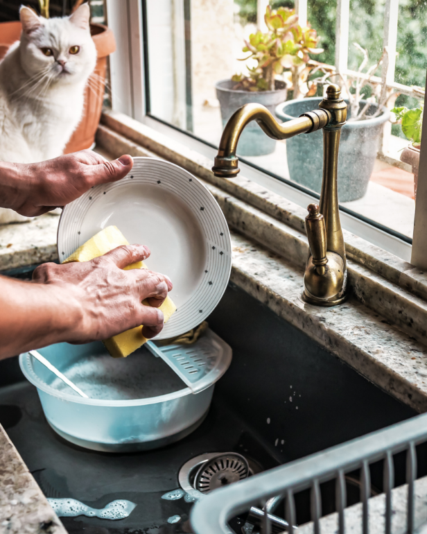 Cleaning Plates